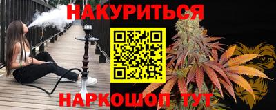 крисы Можга