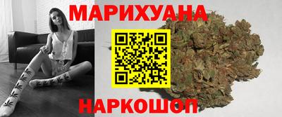 крисы Можга