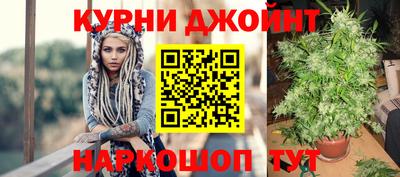 крисы Можга