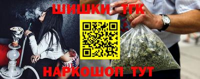 крисы Можга