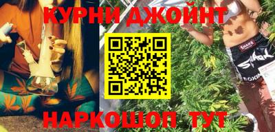 крисы Можга