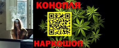 крисы Можга