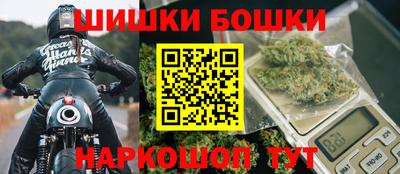 крисы Можга