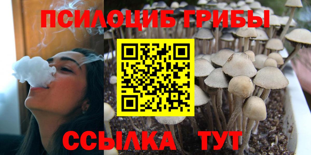Галлюциногенные грибы мухоморы  Вход с VPN  Галлюциногенные грибы Cubensis  Рузаевка 